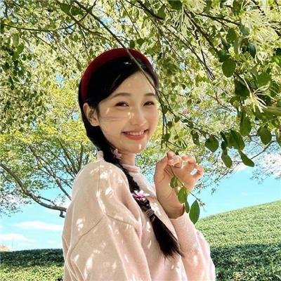 湾畔倾情第五季